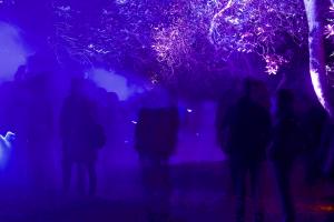 Illumina im Schlosspark Lütetsburg (2016)