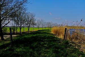 Emden