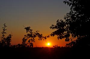 Der Sonnenuntergang über Riepe