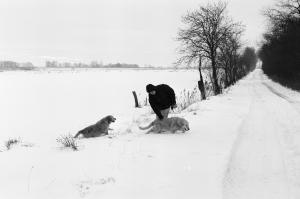 Winterspaziergang