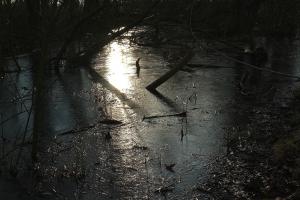 Eislicht