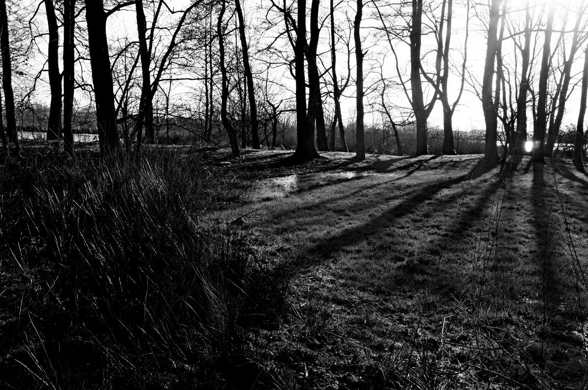 Lange Schatten