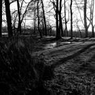 Lange Schatten