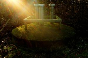 Licht