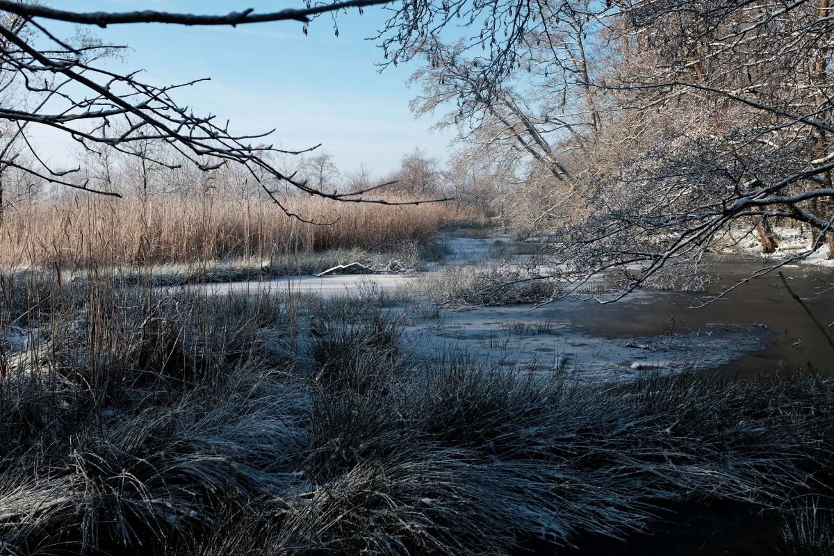 Winter am Sandwater