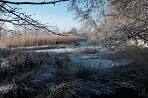 Winter am Sandwater