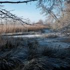 Winter am Sandwater