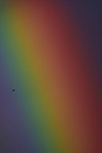 Regenbogen