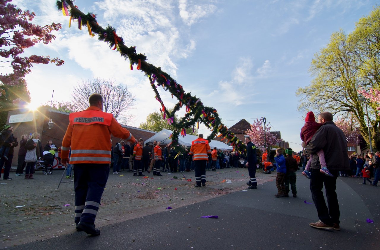 Der Maibaum wird aufgestellt