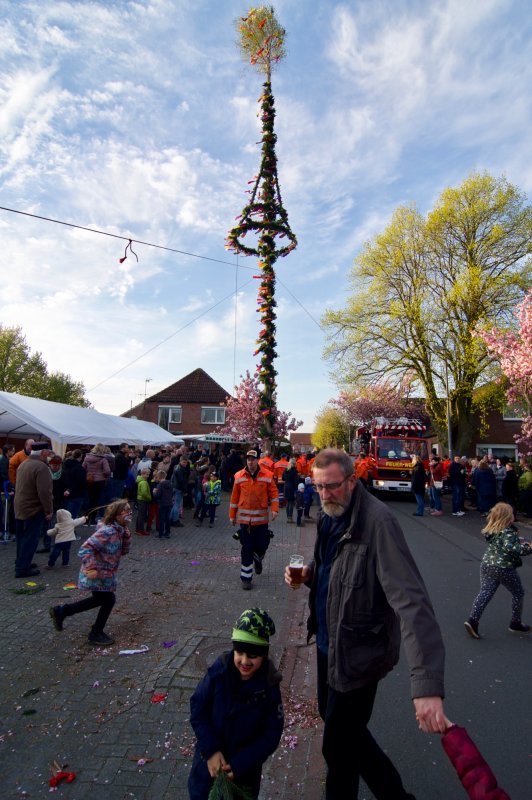 Der Maibaum steht!